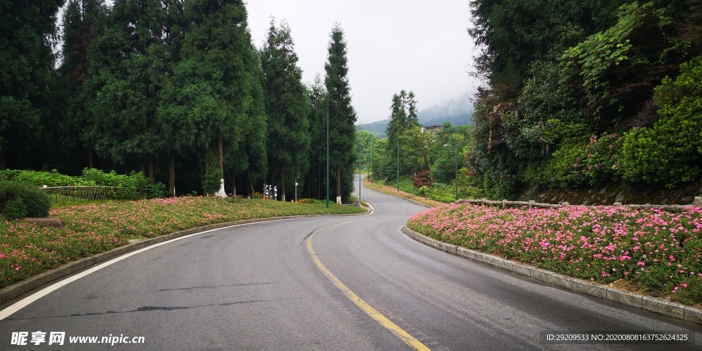 蜿蜒美丽的山路