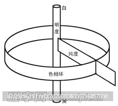 色立体