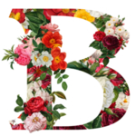 创意字母B