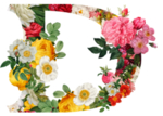 创意字母D