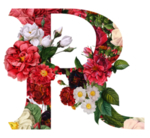 创意字母 R