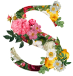 创意字母 S