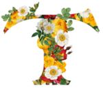 创意字母 T