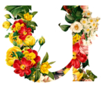 创意字母 U