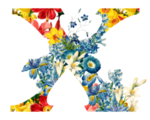 创意字母 X