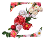 创意字母 Z