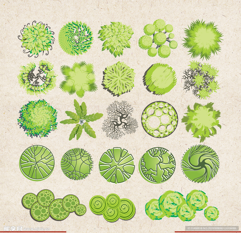 矢量动物 矢量植物 插画 手绘