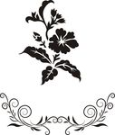 花纹 花边