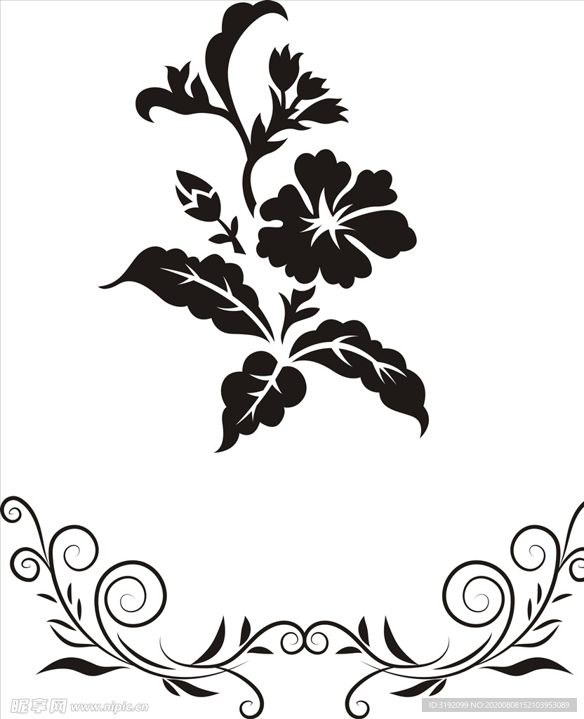 花纹 花边