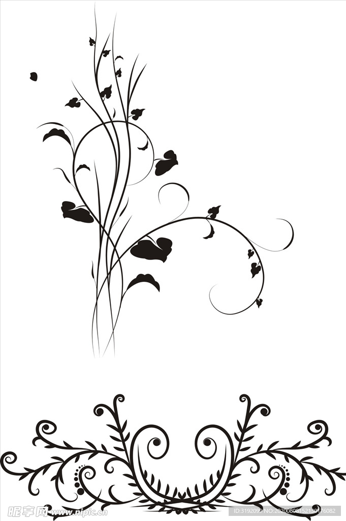 花纹 花边