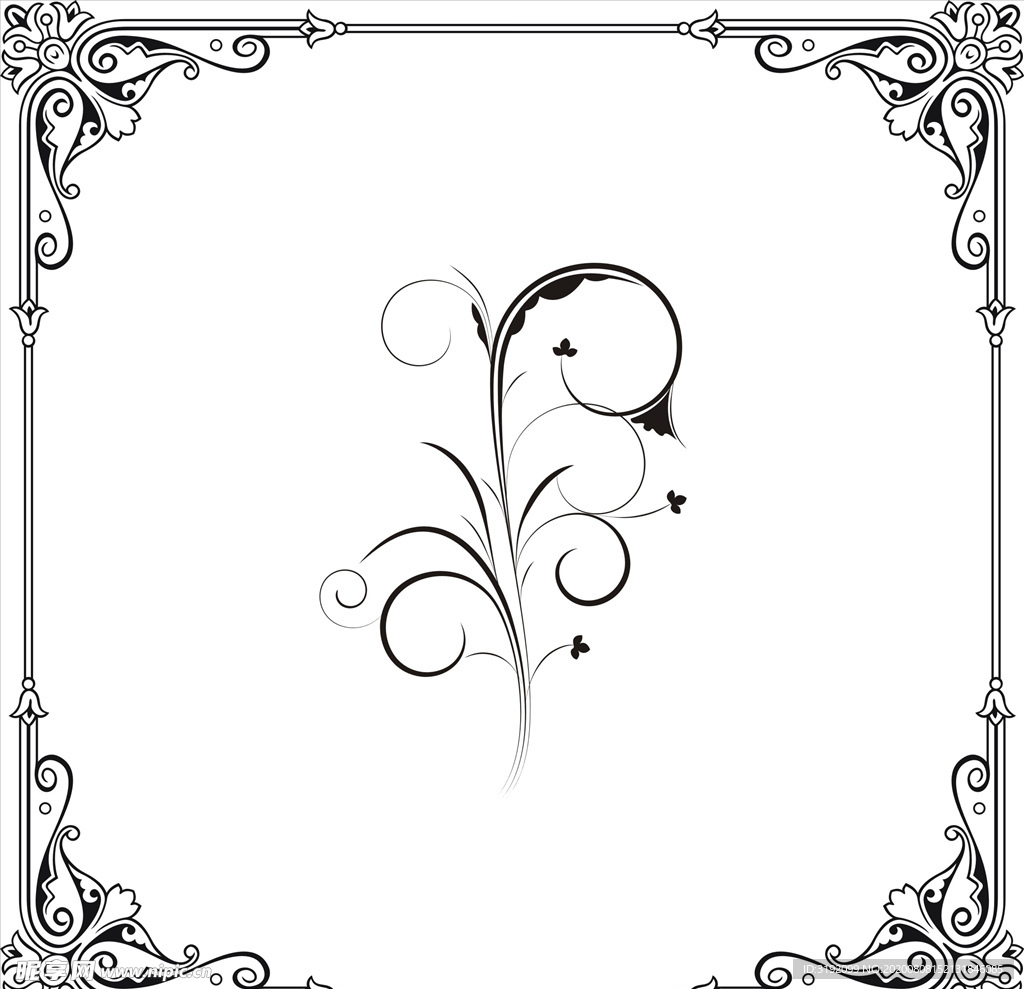 花纹 花边