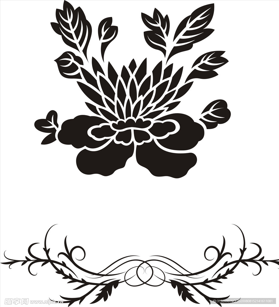 花纹 花边
