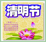 莲花