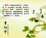 重阳节