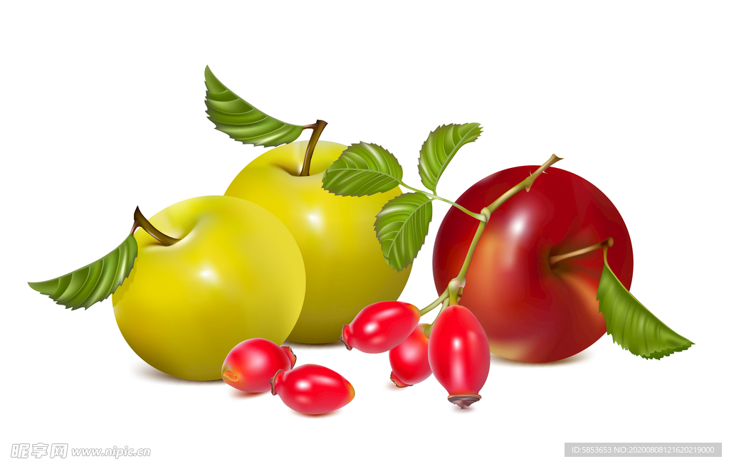 苹果 西红柿 手绘水果矢量素材