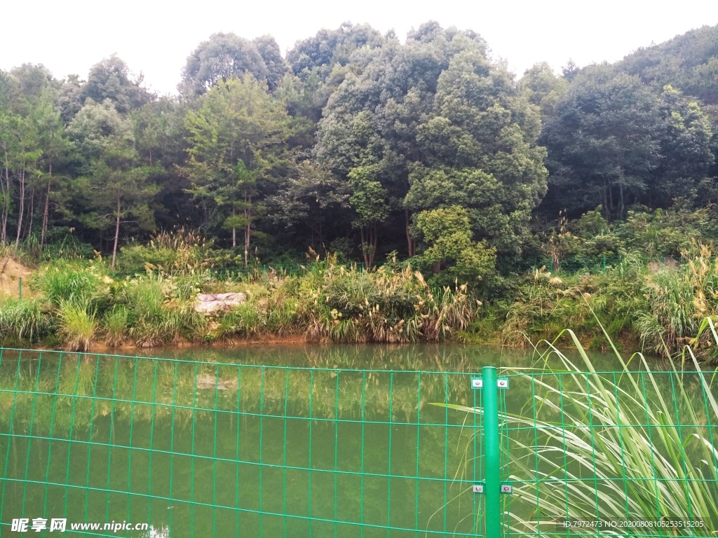 青山绿水