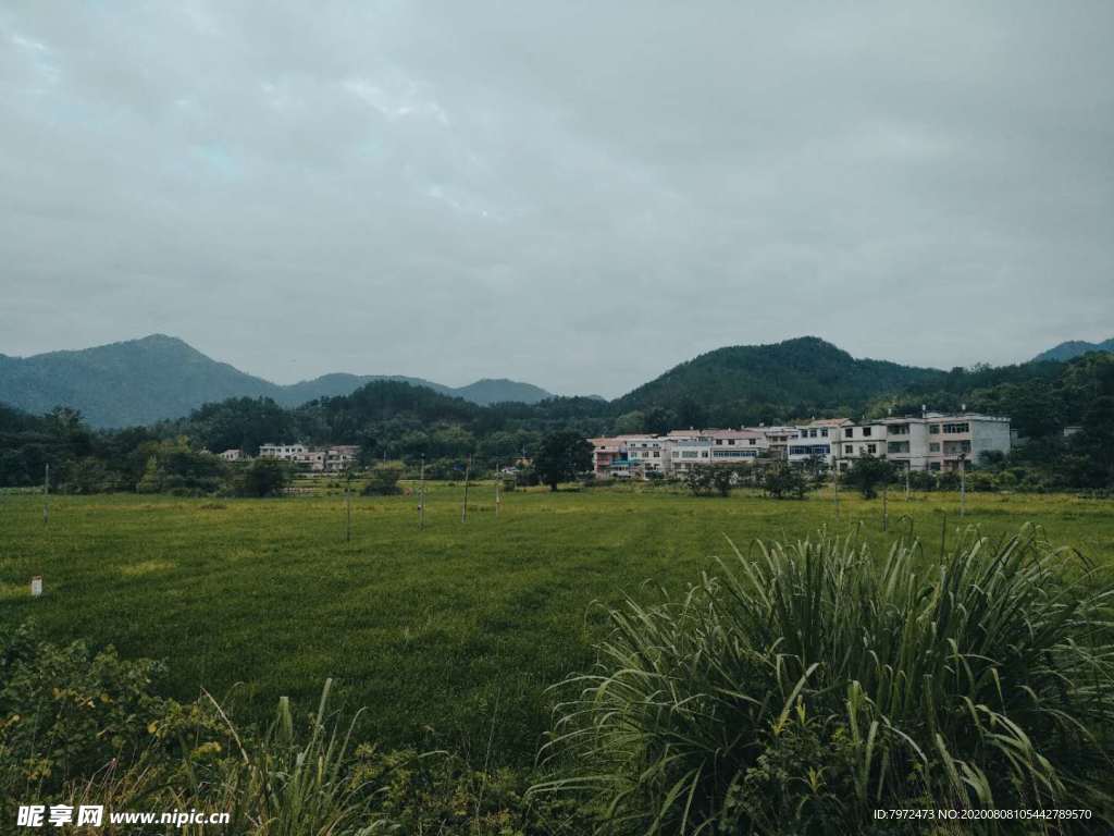 新农村