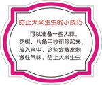 大米防虫技巧