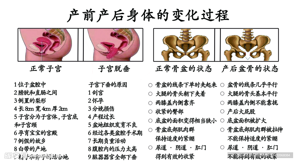 产后子宫恢复