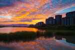 宁夏