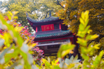 长沙