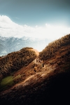 山水风景