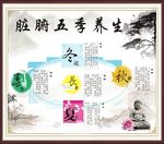 脏腑五季养生海报