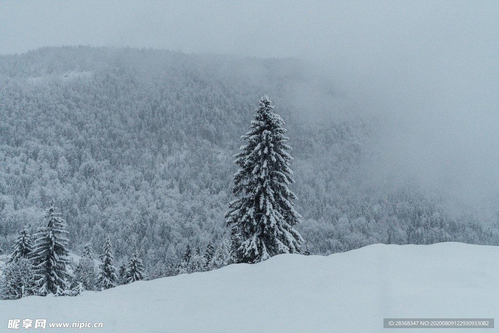 雪山