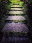 林间小路