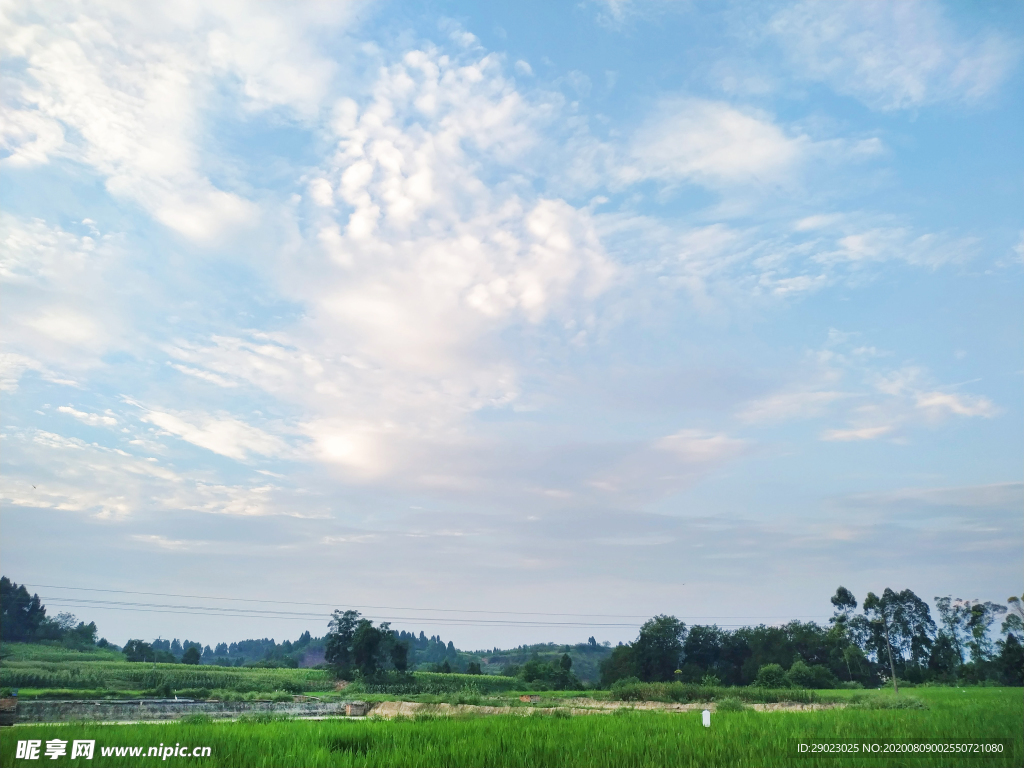 田园风景