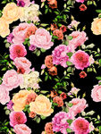 玫瑰花
