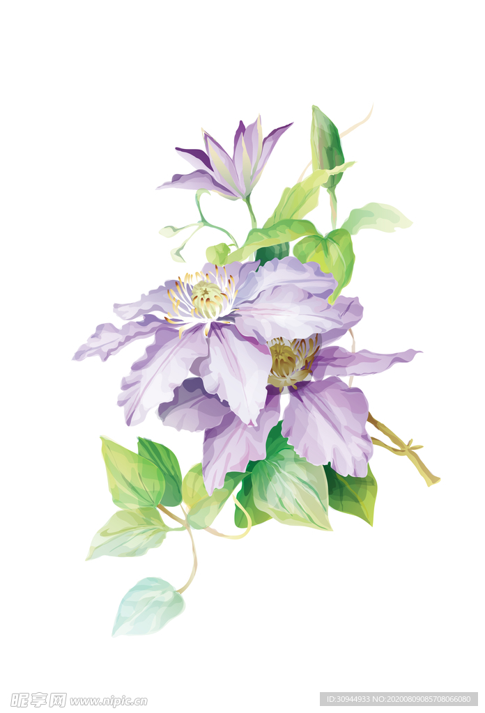 植物装饰画