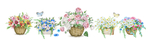 花蓝植物装饰画