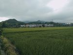 大畈