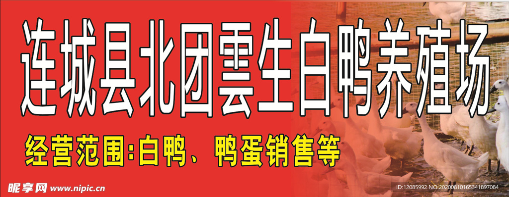 白鸭招牌