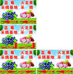 采摘节