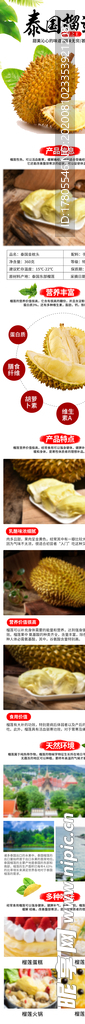 水果 水果海报 水果素材 蔬菜