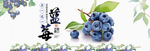 水果 水果海报 水果素材 蔬菜