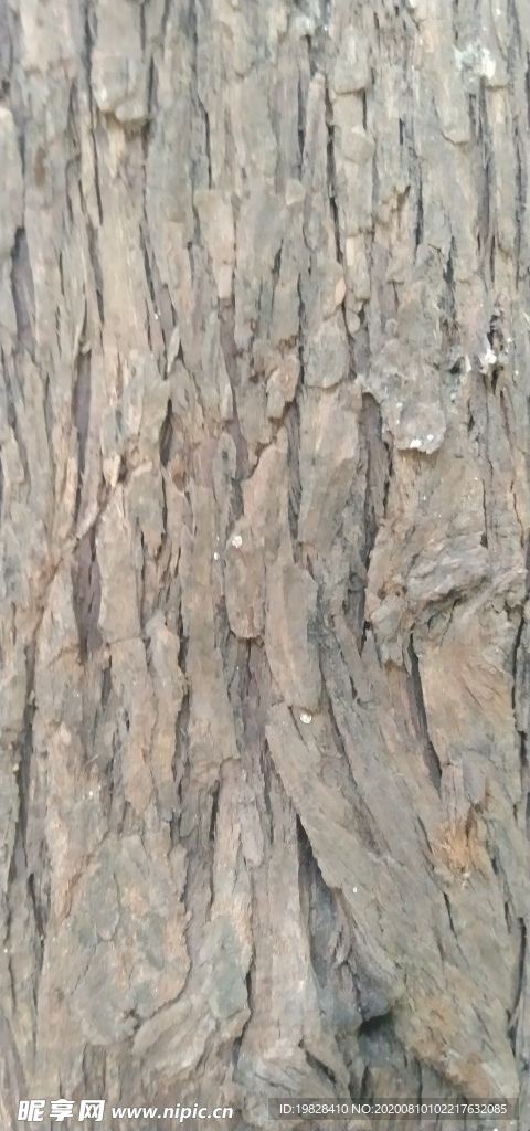 木纹