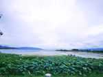 洱海