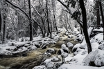 雪景