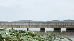 东湖绿道