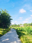 自然风景
