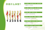 你是什么体型