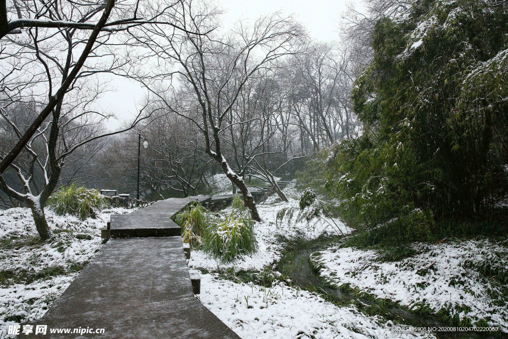 西湖雪景