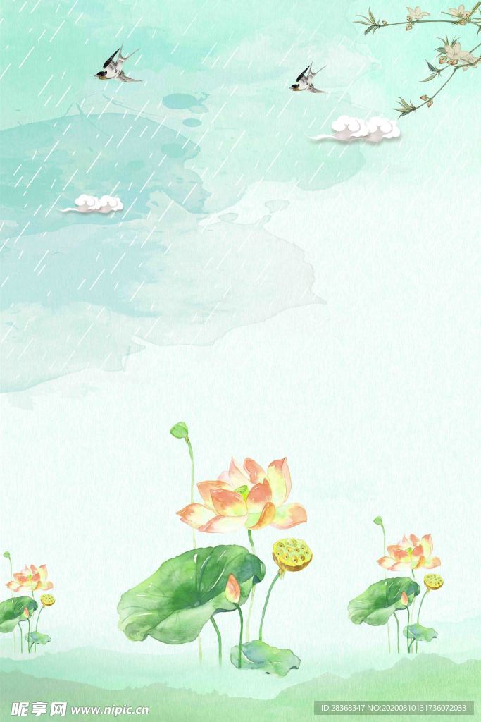 夏日荷花背景