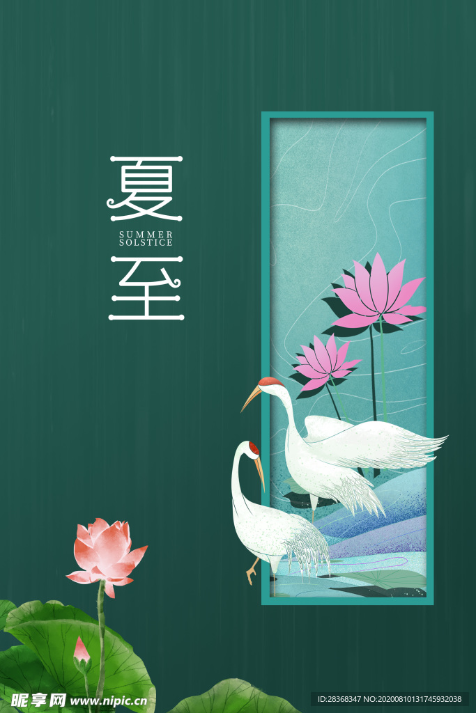 夏日荷花背景