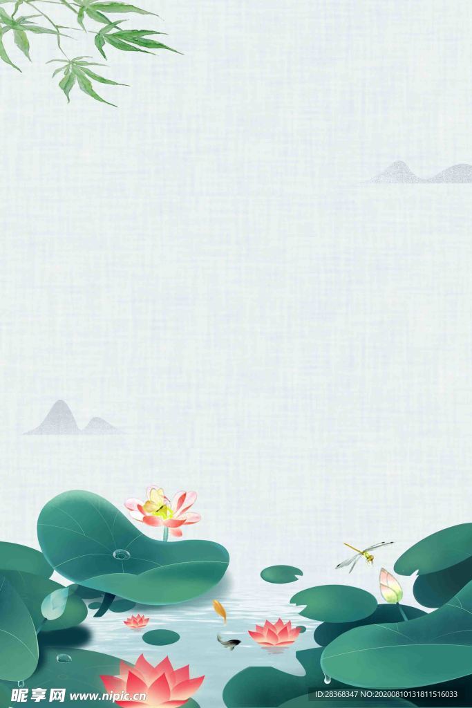 夏日荷花背景