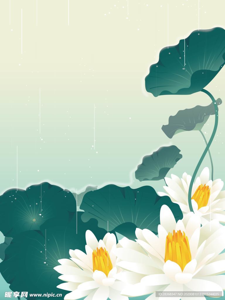夏日荷花背景