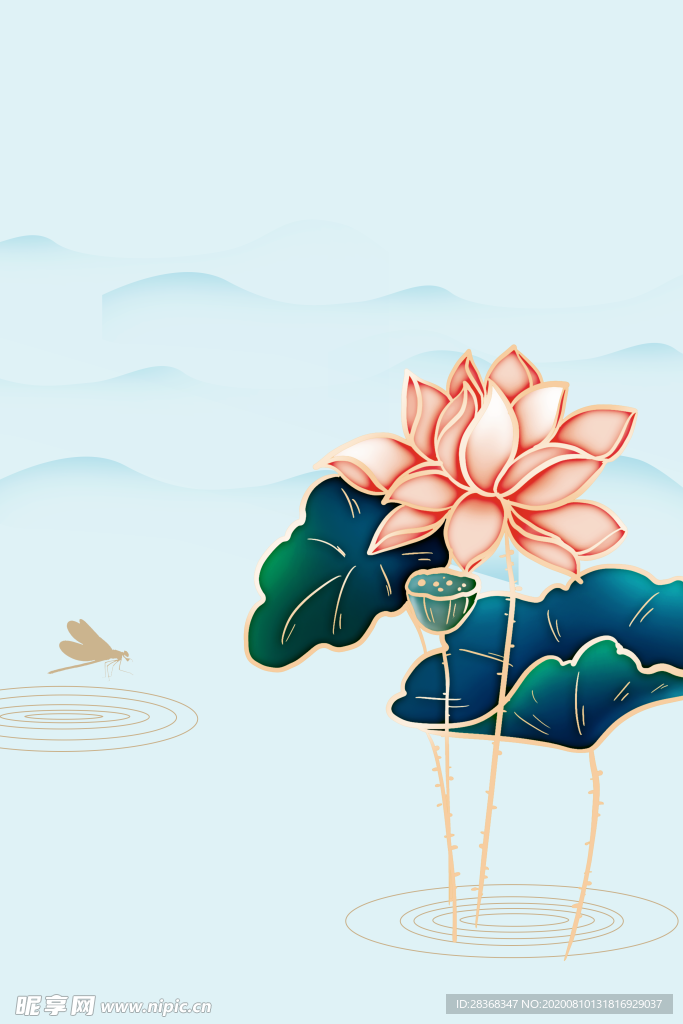 夏日荷花背景